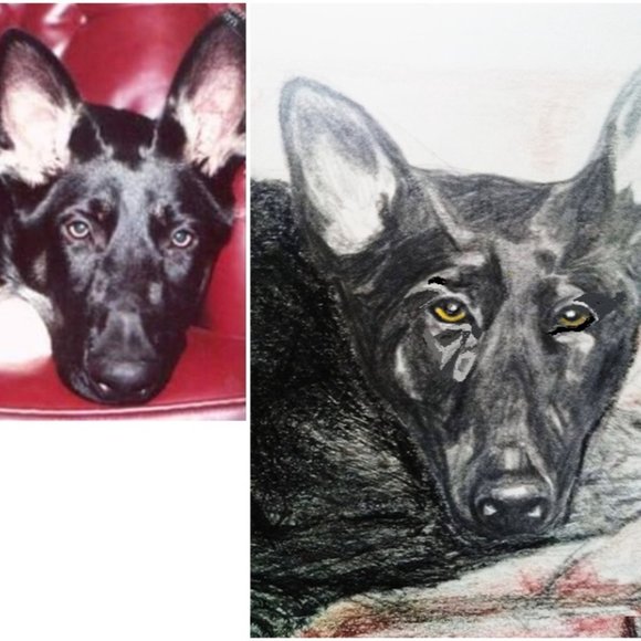 Your dog or cat or horse in acryllic - Picture 4 of 4